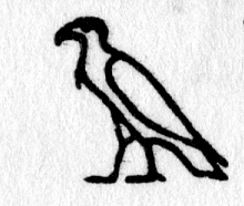 Hieroglyph tagged as: bird,eagle,falcon,hawk