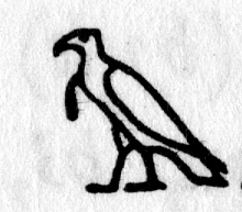 hieroglyph tagged as: bird, eagle, falcon, hawk