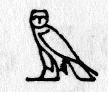 hieroglyph tagged as: bird, owl