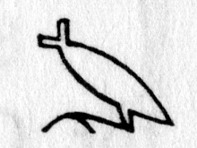 Hieroglyph tagged as: animal part,beheaded,bird,body,corpse,decapitated