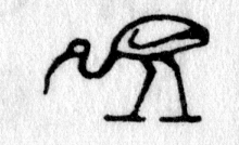 hieroglyph tagged as: bird, ibis