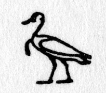 Hieroglyph tagged as: bird,goose