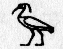Hieroglyph tagged as: bird,crest,ibis