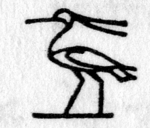 hieroglyph tagged as: bird, crest, ibis