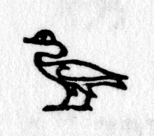 hieroglyph tagged as: bird, goose