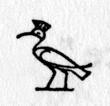hieroglyph tagged as: bird, crest, ibis