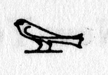 hieroglyph tagged as: bird, sparrow