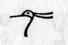 hieroglyph tagged as: animal part, crest, head, ibis