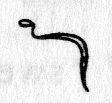 hieroglyph tagged as: animal, snake