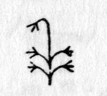 Hieroglyph tagged as: blossoms,curve,flowers,plant