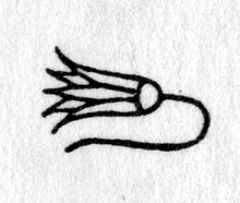 hieroglyph tagged as: blossom, flower, lotus, plant