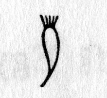 hieroglyph tagged as: carrot, date (fruit), plant