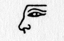 Hieroglyph tagged as: body part,eye,face,nose