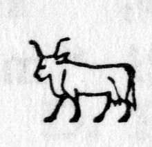 Hieroglyph tagged as: animal,cow,horns,quadruped