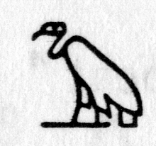 Hieroglyph tagged as: bird,vulture