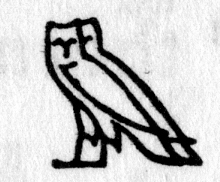 Hieroglyph tagged as: ,bird,owls