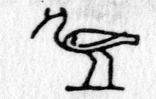 Hieroglyph tagged as: bird,ibis