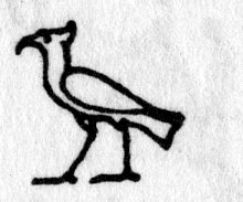 hieroglyph tagged as: bird, crest, eagle, falcon, hawk