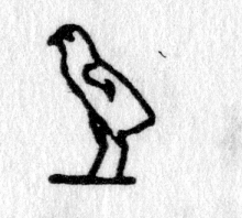 Hieroglyph tagged as: bird,chick