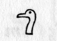 Hieroglyph tagged as: animal part,goose,head