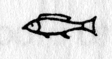 Hieroglyph tagged as: animal,fish