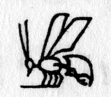 Hieroglyph tagged as: insect,wasp