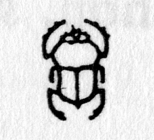 Hieroglyph tagged as: beetle,dung beetle,insect