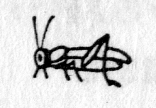 hieroglyph tagged as: cricket, grasshopper, insect, locust